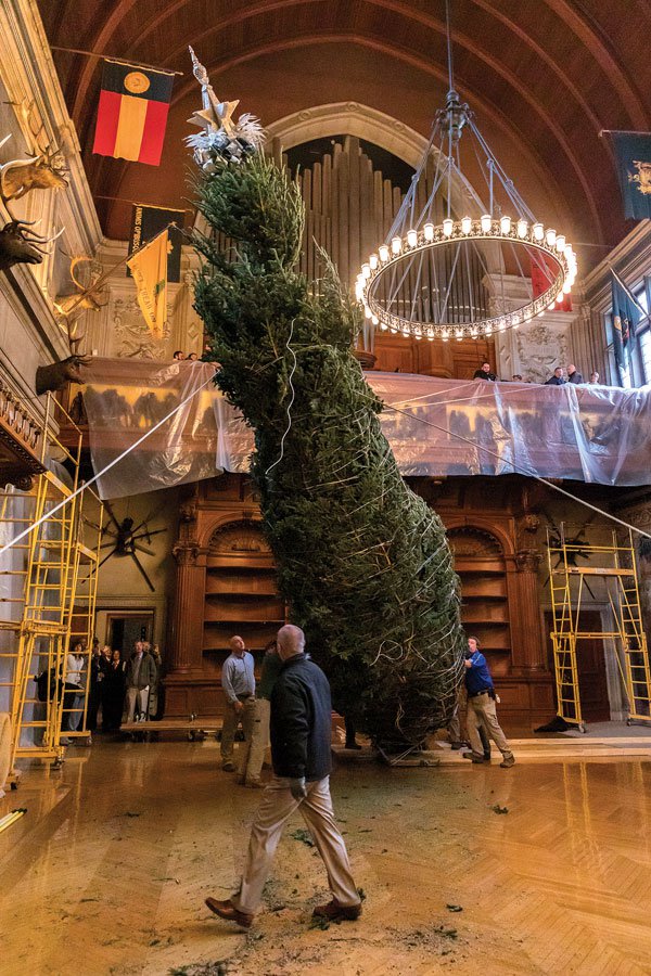 Biltmore Christmas tree arrival goes virtual Smoky Mountain Living