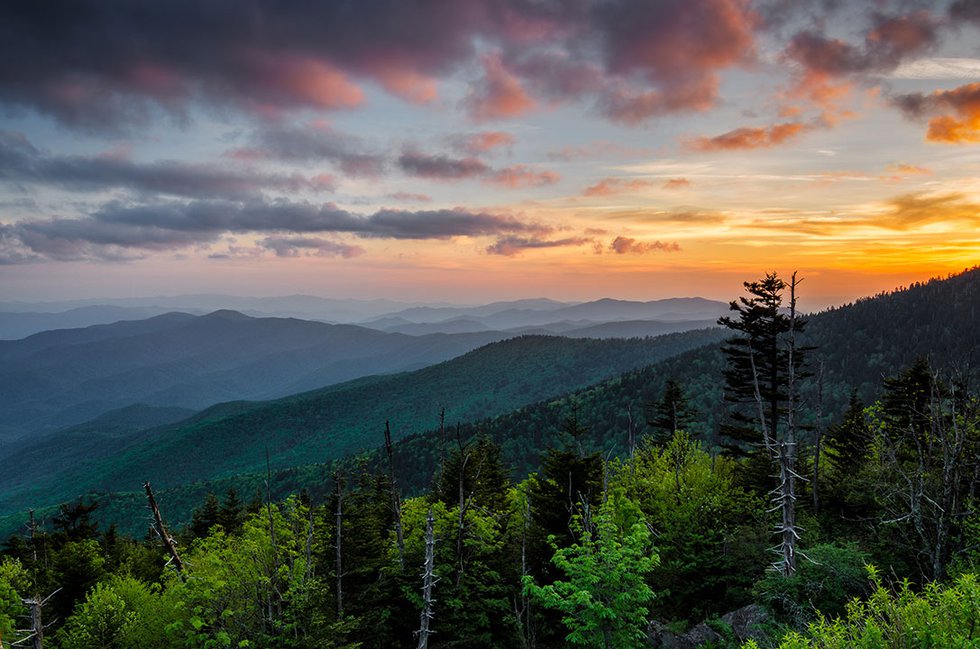 The Beauty of a Smoky Mountain Springtime - Smoky Mountain Living