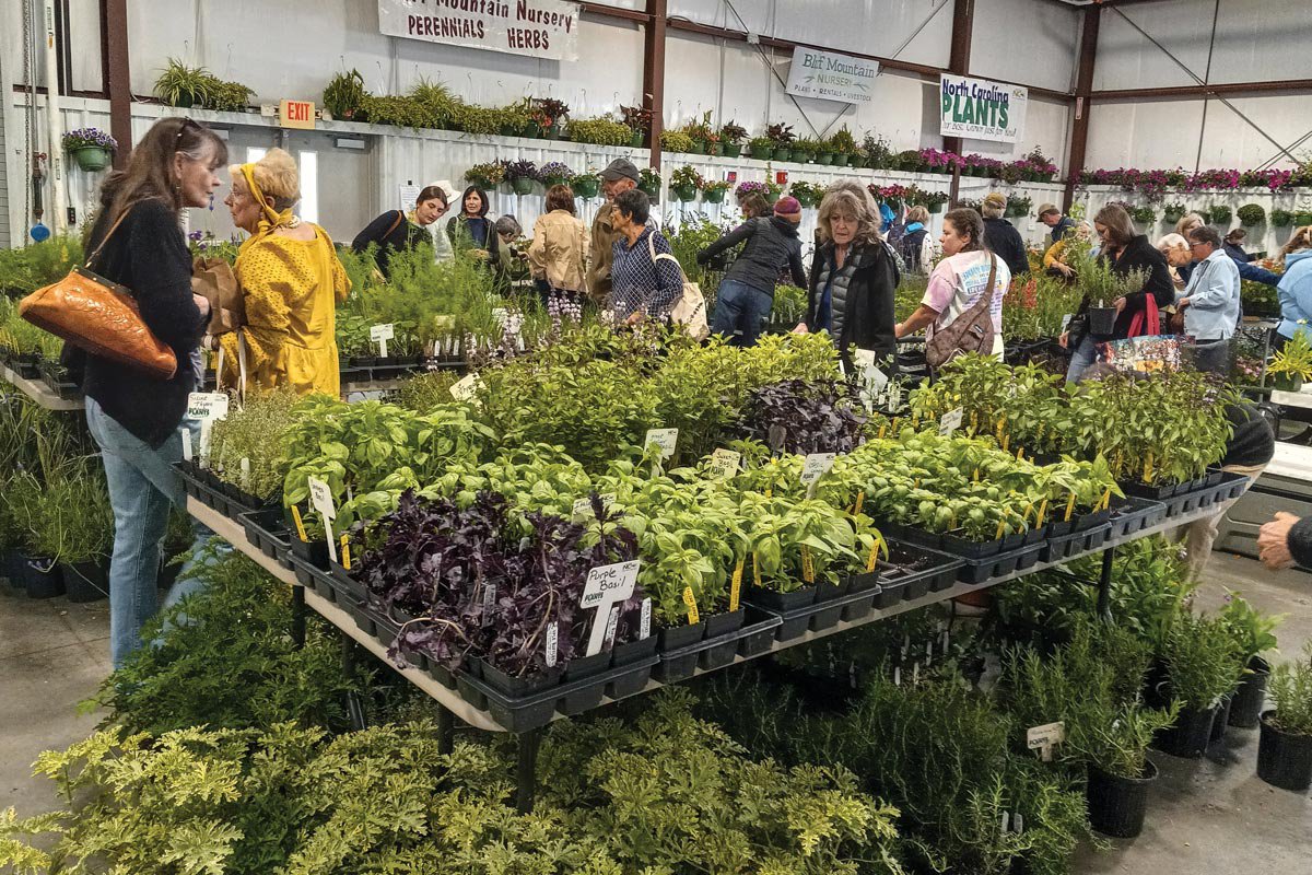 The Asheville Herb Festival and the Power of Plants Smoky Mountain Living