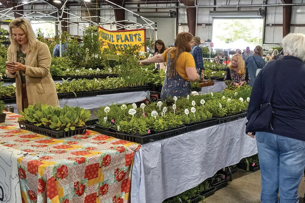 The Asheville Herb Festival and the Power of Plants Smoky Mountain Living