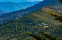 Mount Mitchell Cafe & Eatery_001 - CREDIT Sean Busher.jpg