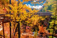 Autumn Footbridge