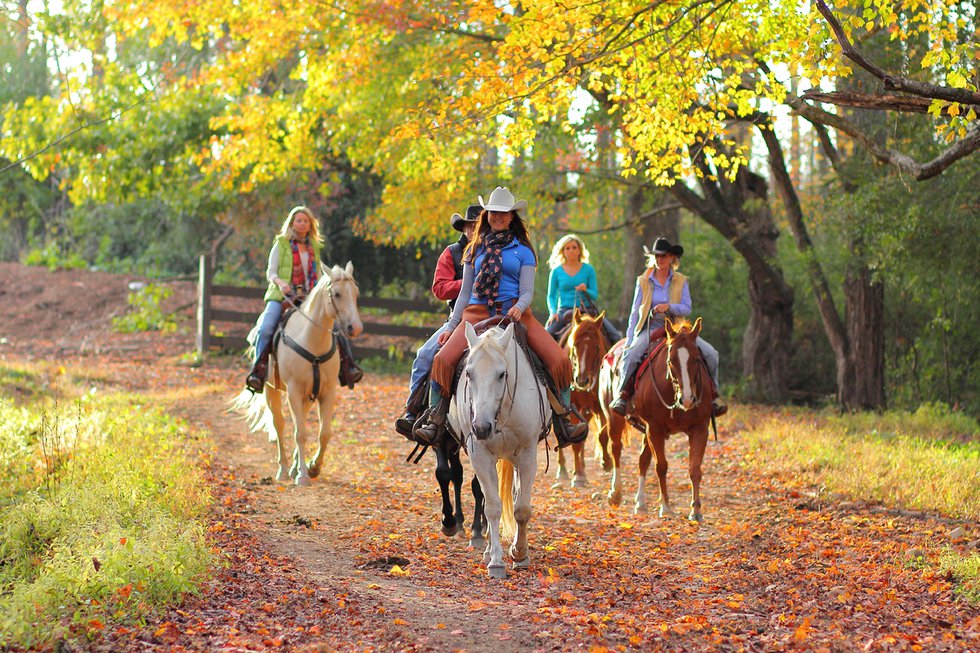 Autumn horseback Rabun