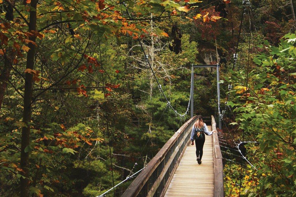 Autumn Footbridge Rabun #2