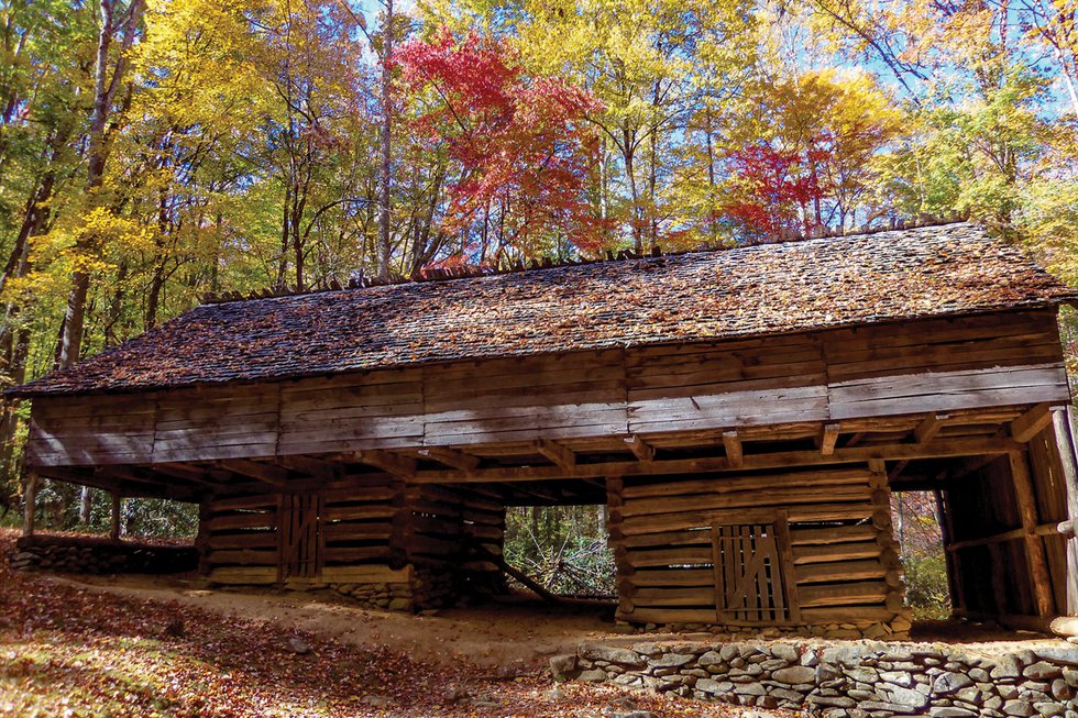 On the Trail in the Smokies: Porters Creek Trail