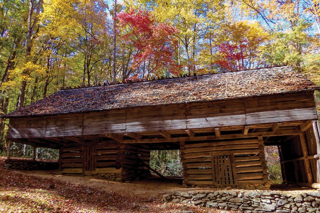 On the Trail in the Smokies: Porters Creek Trail