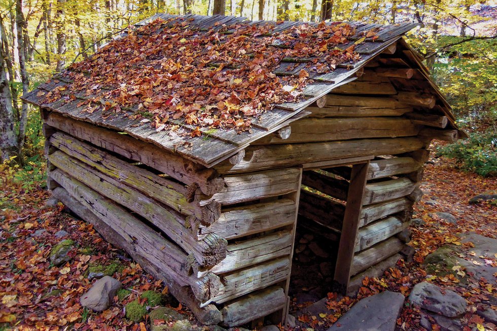 On the Trail in the Smokies: Porters Creek Trail