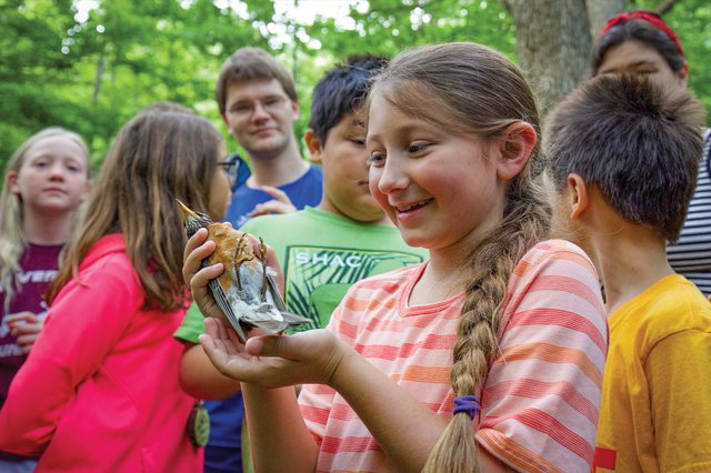 Bird-Banding Program Offers Data and Delight