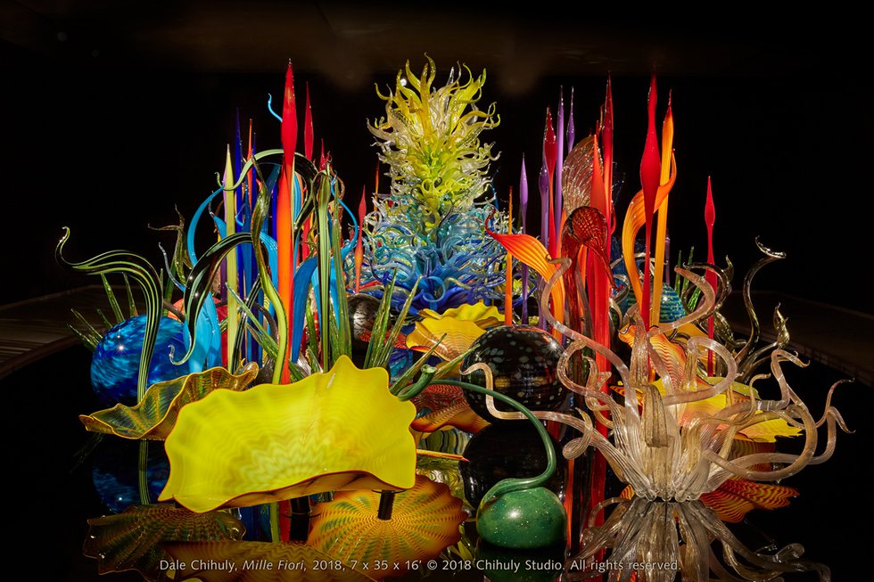 Chihuly at Biltmore